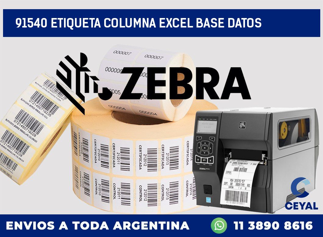 91540 etiqueta columna excel base datos