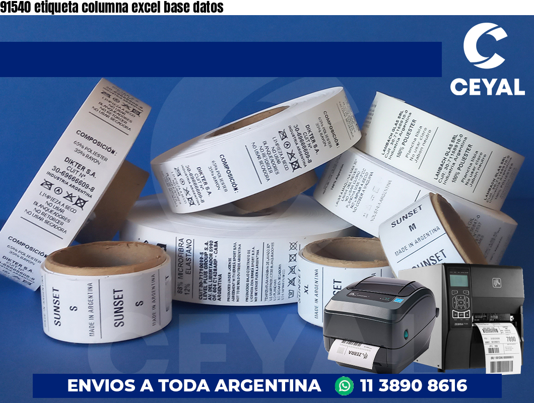 91540 etiqueta columna excel base datos
