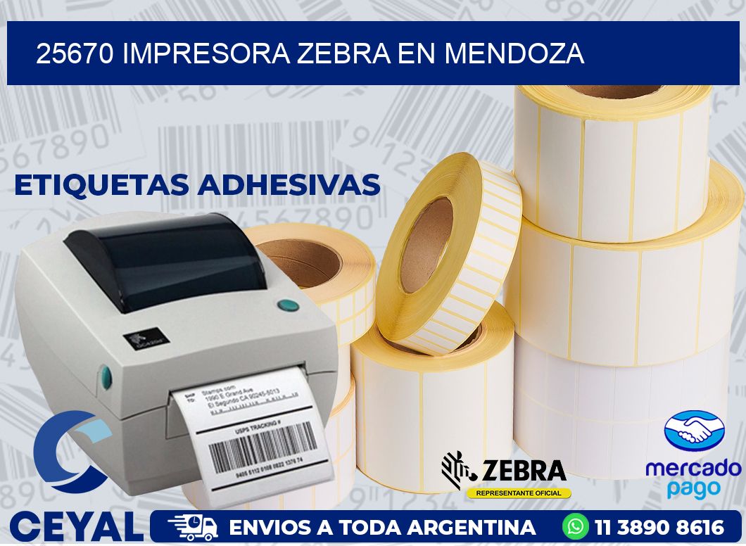 25670 IMPRESORA ZEBRA EN MENDOZA
