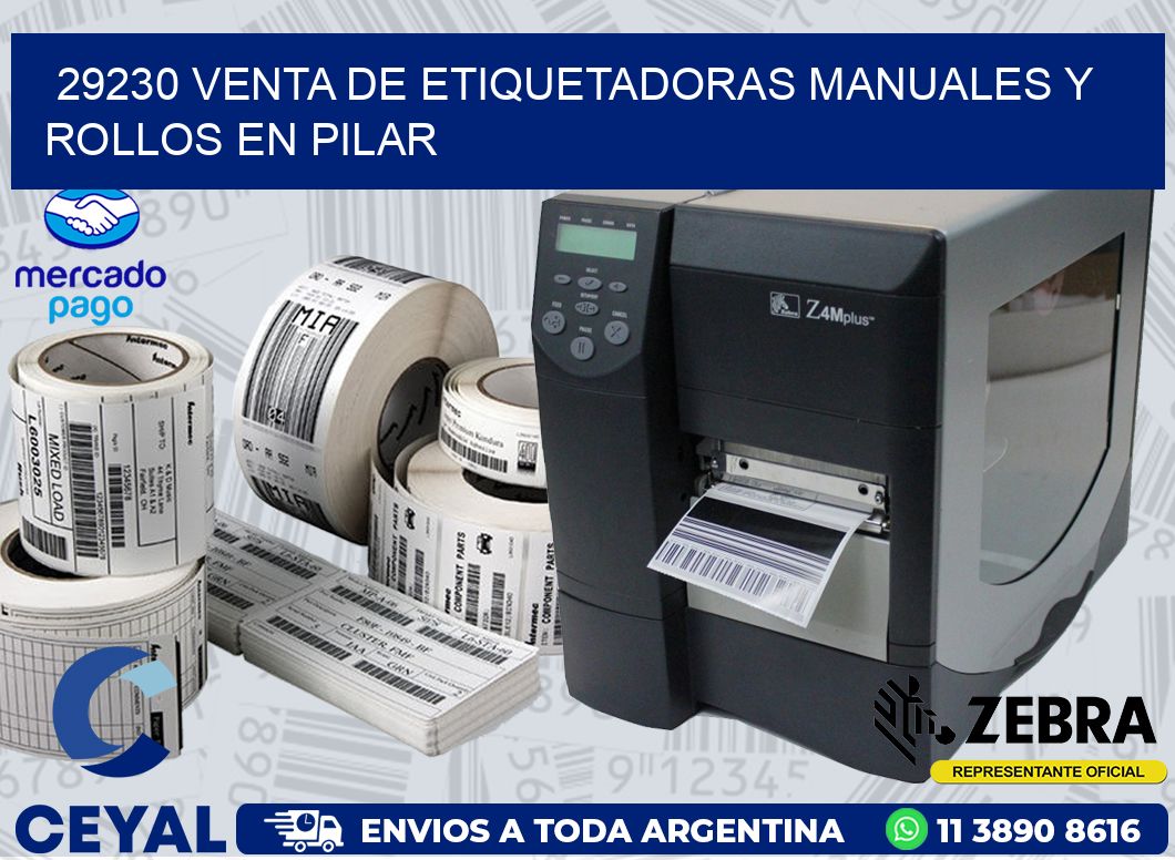29230 VENTA DE ETIQUETADORAS MANUALES Y ROLLOS EN PILAR