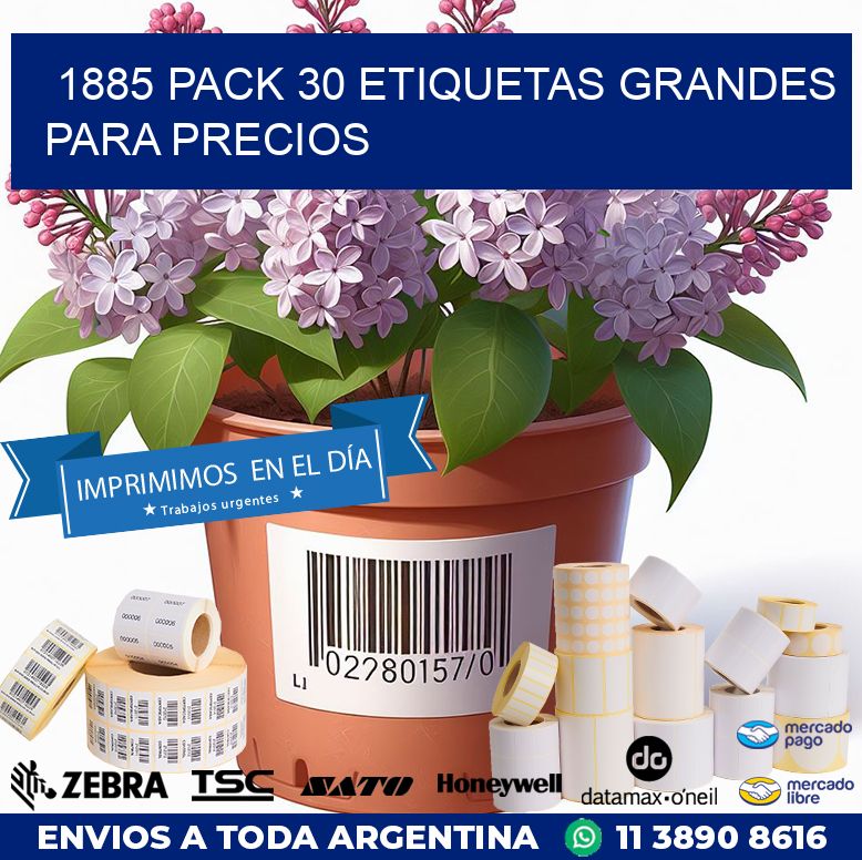 1885 PACK 30 ETIQUETAS GRANDES PARA PRECIOS