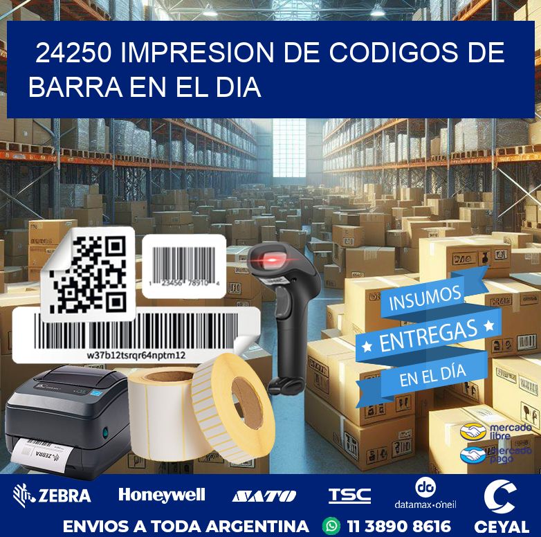 24250 IMPRESION DE CODIGOS DE BARRA EN EL DIA