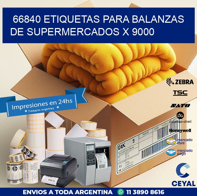 66840 ETIQUETAS PARA BALANZAS DE SUPERMERCADOS X 9000