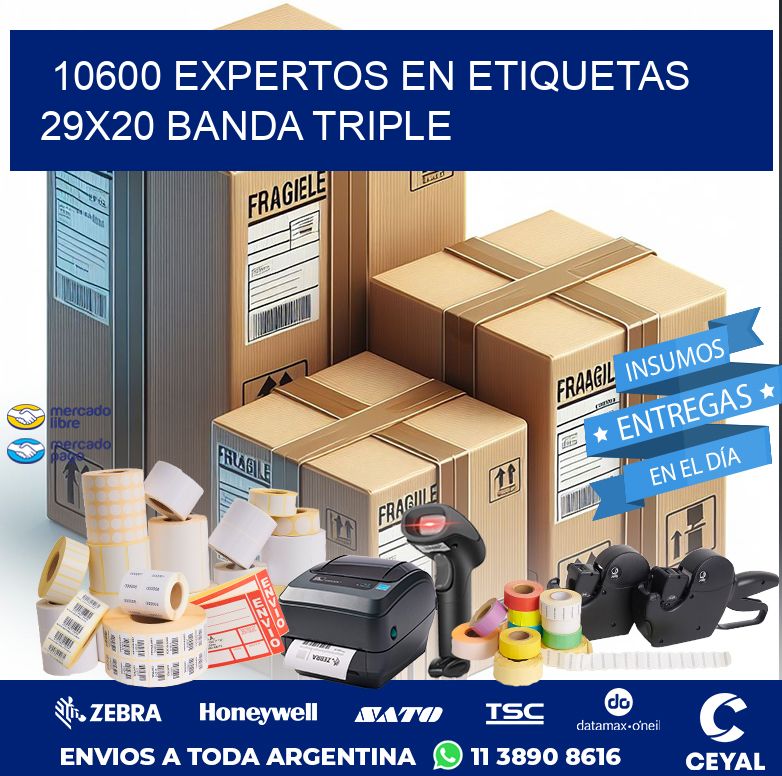 10600 EXPERTOS EN ETIQUETAS 29X20 BANDA TRIPLE