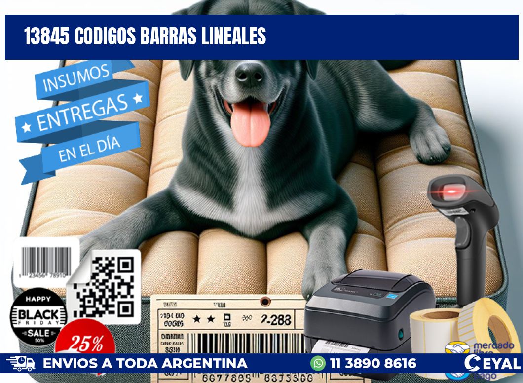 13845 CODIGOS BARRAS LINEALES