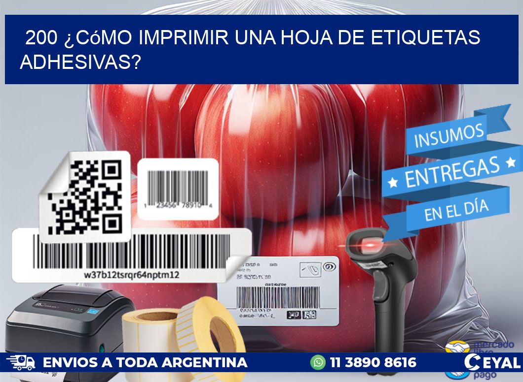 200 ¿Cómo imprimir una hoja de etiquetas adhesivas?