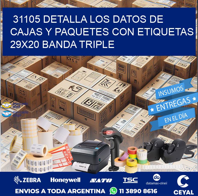 31105 DETALLA LOS DATOS DE CAJAS Y PAQUETES CON ETIQUETAS 29X20 BANDA TRIPLE