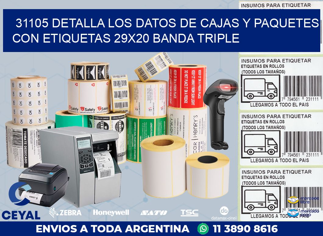 31105 DETALLA LOS DATOS DE CAJAS Y PAQUETES CON ETIQUETAS 29X20 BANDA TRIPLE