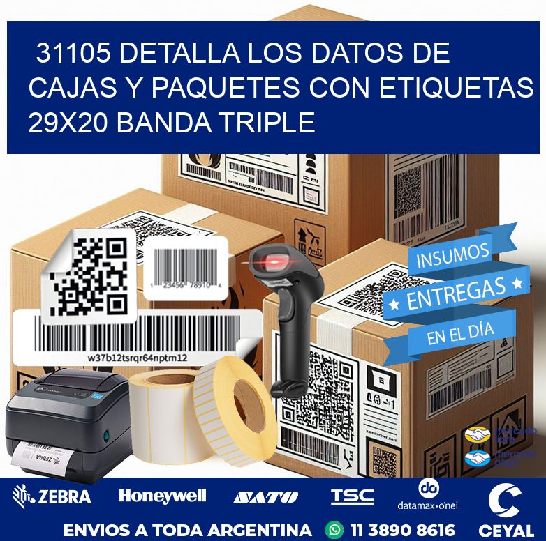 31105 DETALLA LOS DATOS DE CAJAS Y PAQUETES CON ETIQUETAS 29X20 BANDA TRIPLE