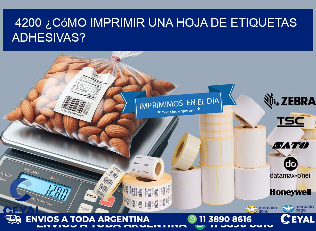 4200 ¿Cómo imprimir una hoja de etiquetas adhesivas?