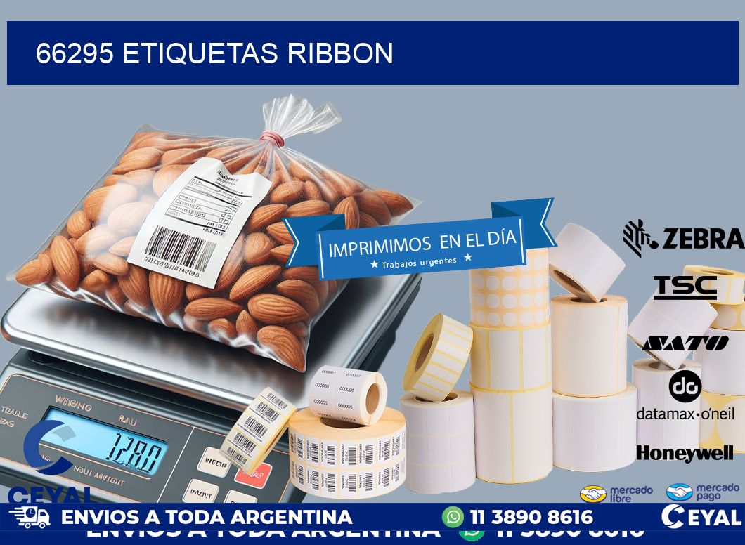66295 ETIQUETAS RIBBON