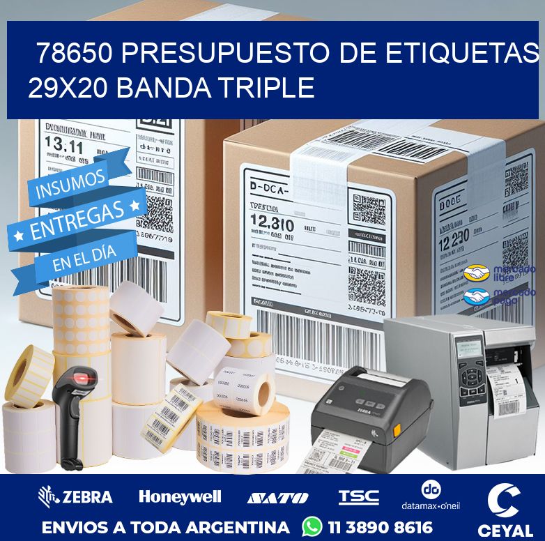 78650 PRESUPUESTO DE ETIQUETAS 29X20 BANDA TRIPLE