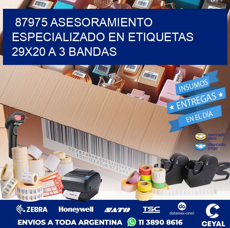 87975 ASESORAMIENTO ESPECIALIZADO EN ETIQUETAS 29X20 A 3 BANDAS