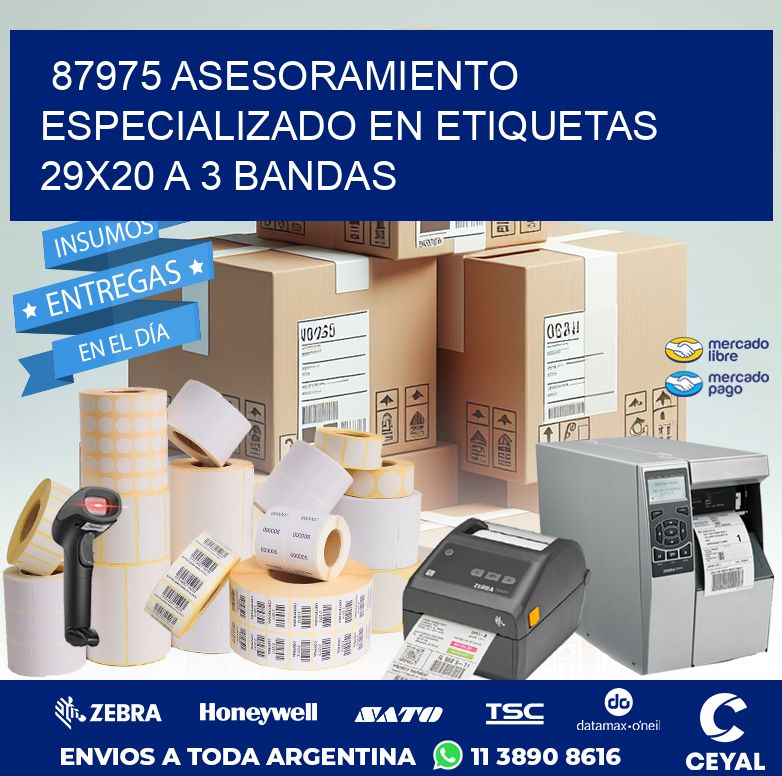 87975 ASESORAMIENTO ESPECIALIZADO EN ETIQUETAS 29X20 A 3 BANDAS