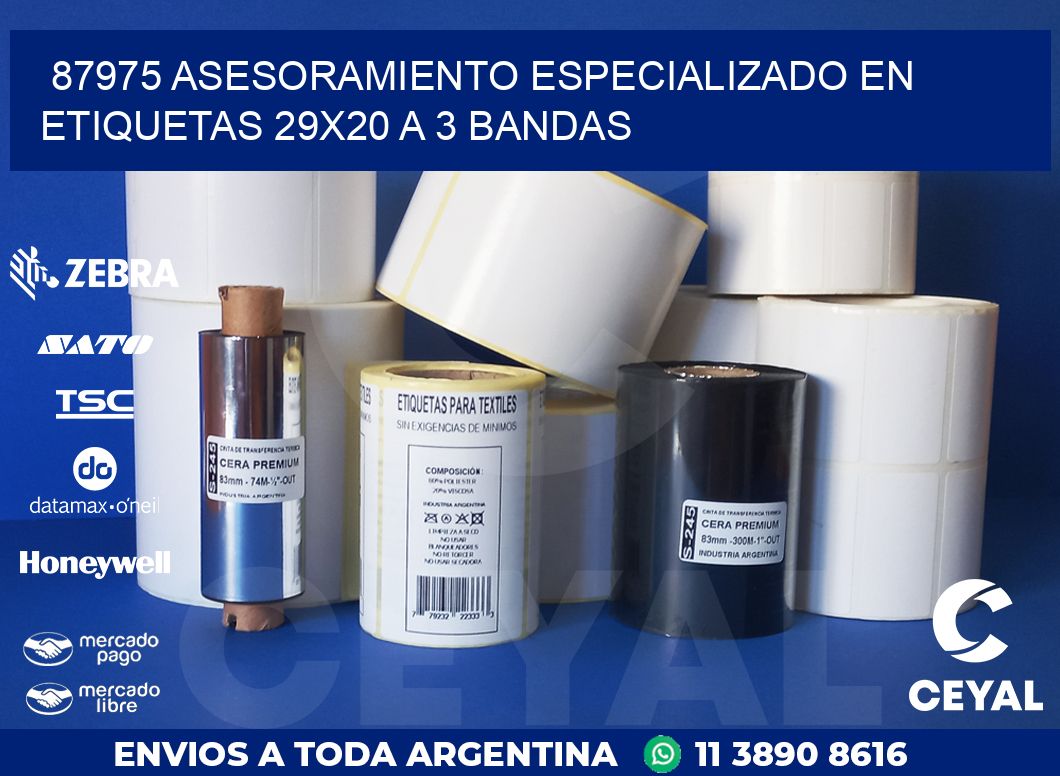87975 ASESORAMIENTO ESPECIALIZADO EN ETIQUETAS 29X20 A 3 BANDAS