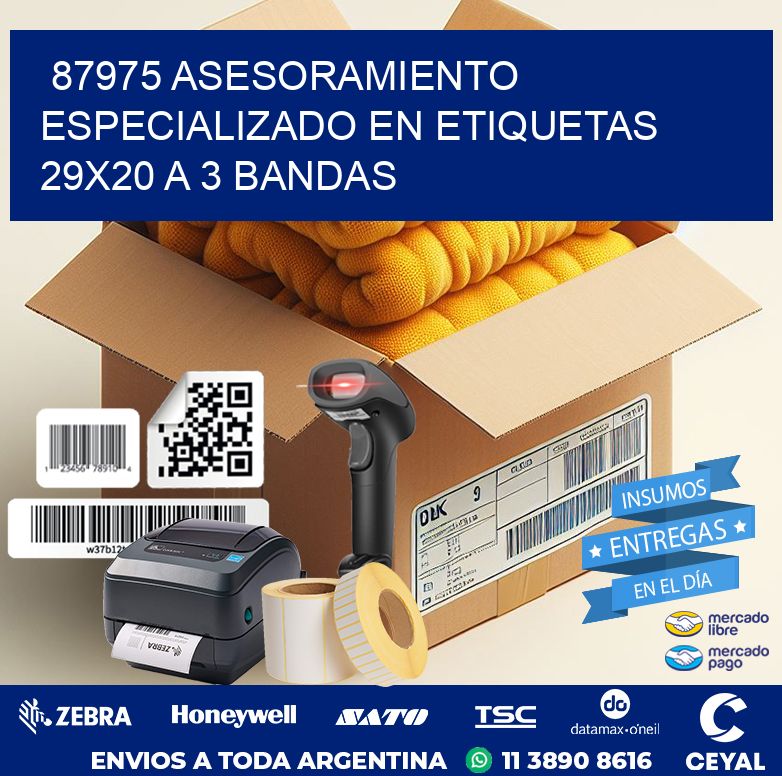 87975 ASESORAMIENTO ESPECIALIZADO EN ETIQUETAS 29X20 A 3 BANDAS