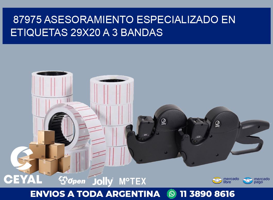 87975 ASESORAMIENTO ESPECIALIZADO EN ETIQUETAS 29X20 A 3 BANDAS