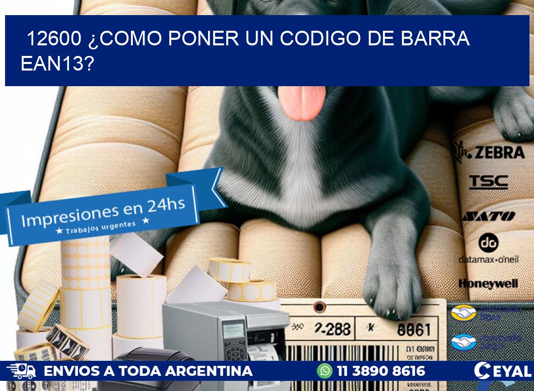 12600 ¿COMO PONER UN CODIGO DE BARRA  EAN13?