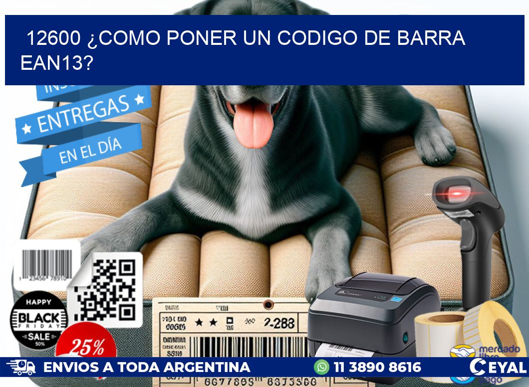 12600 ¿COMO PONER UN CODIGO DE BARRA  EAN13?