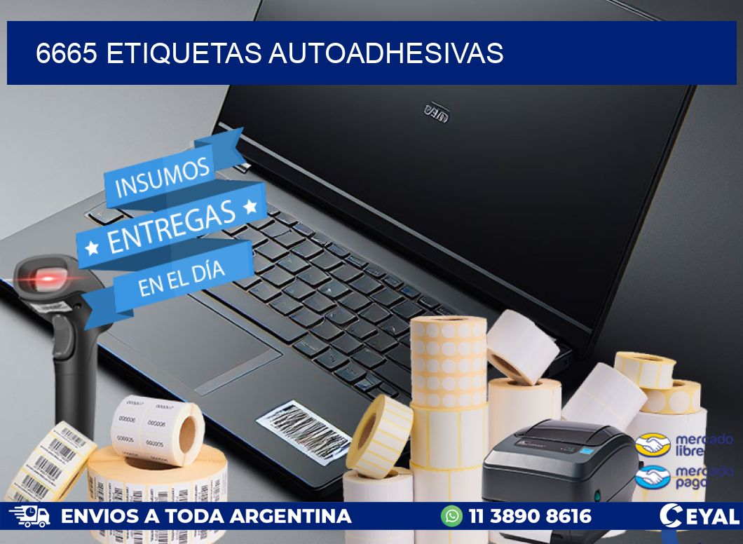 6665 ETIQUETAS AUTOADHESIVAS
