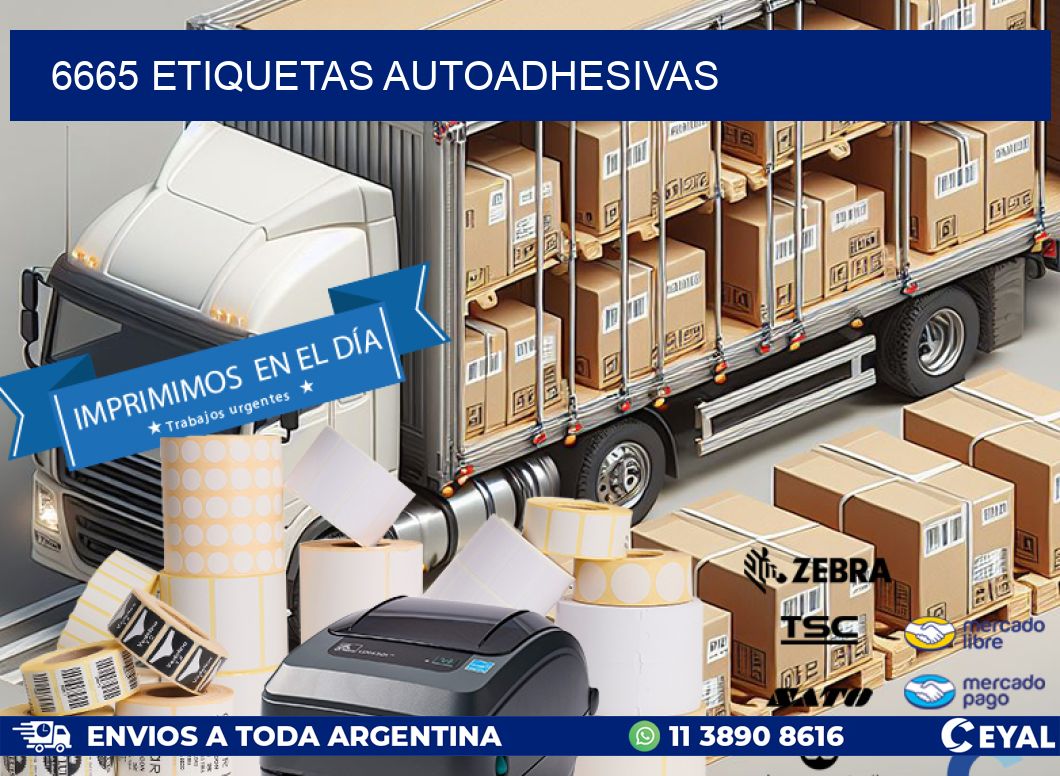 6665 ETIQUETAS AUTOADHESIVAS