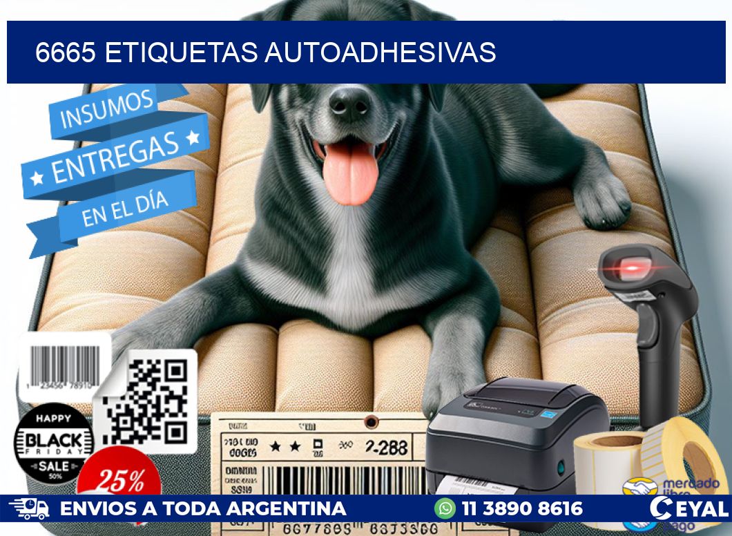 6665 ETIQUETAS AUTOADHESIVAS