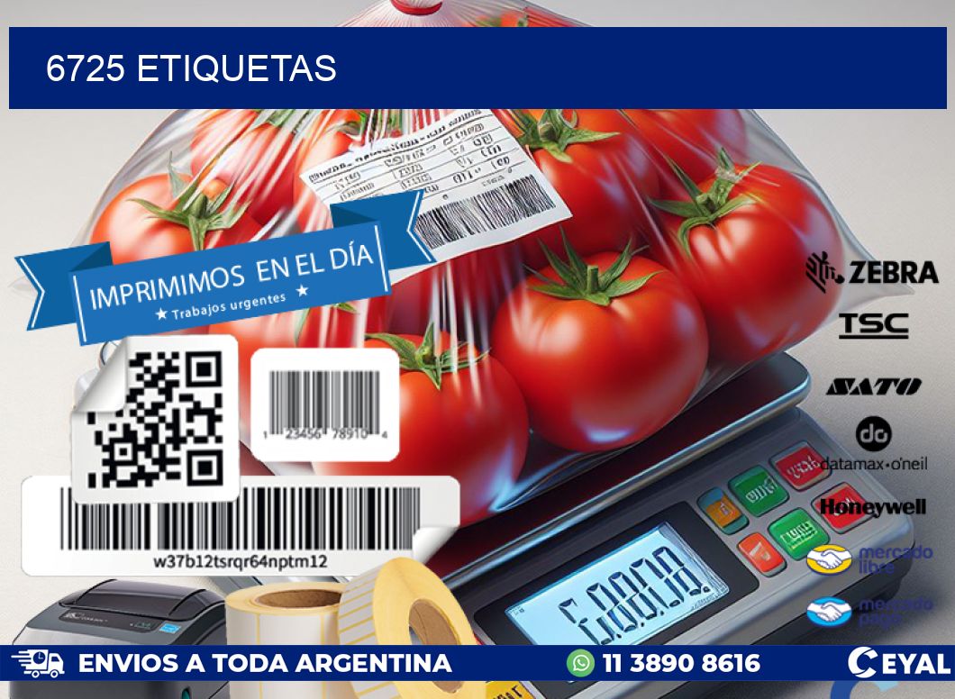 6725 ETIQUETAS