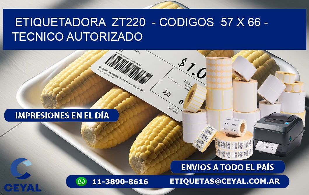 ETIQUETADORA ZT220 - CODIGOS 57 x 66 - TECNICO AUTORIZADO