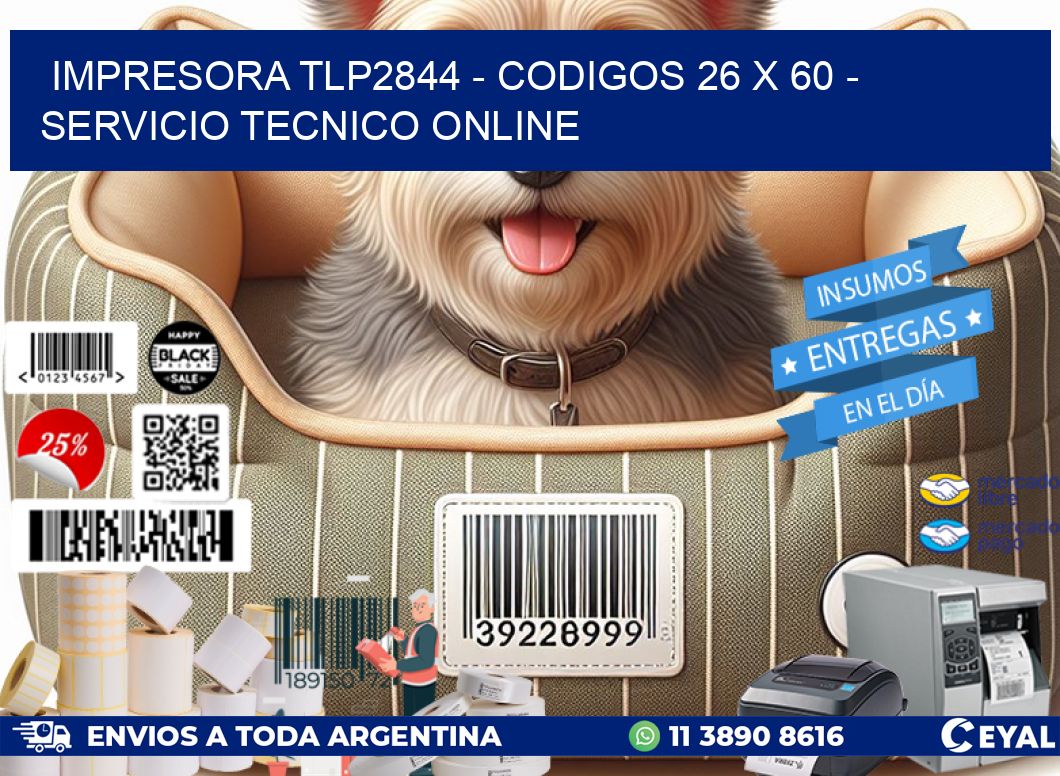 IMPRESORA TLP2844 - CODIGOS 26 x 60 - SERVICIO TECNICO ONLINE