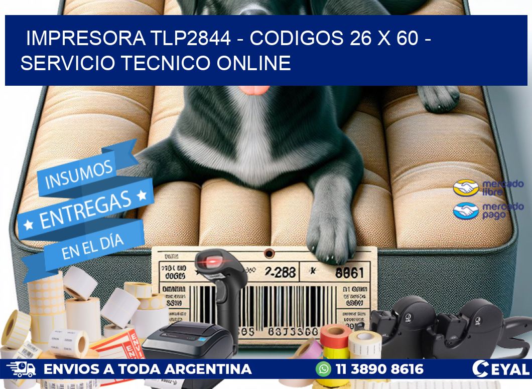 IMPRESORA TLP2844 - CODIGOS 26 x 60 - SERVICIO TECNICO ONLINE
