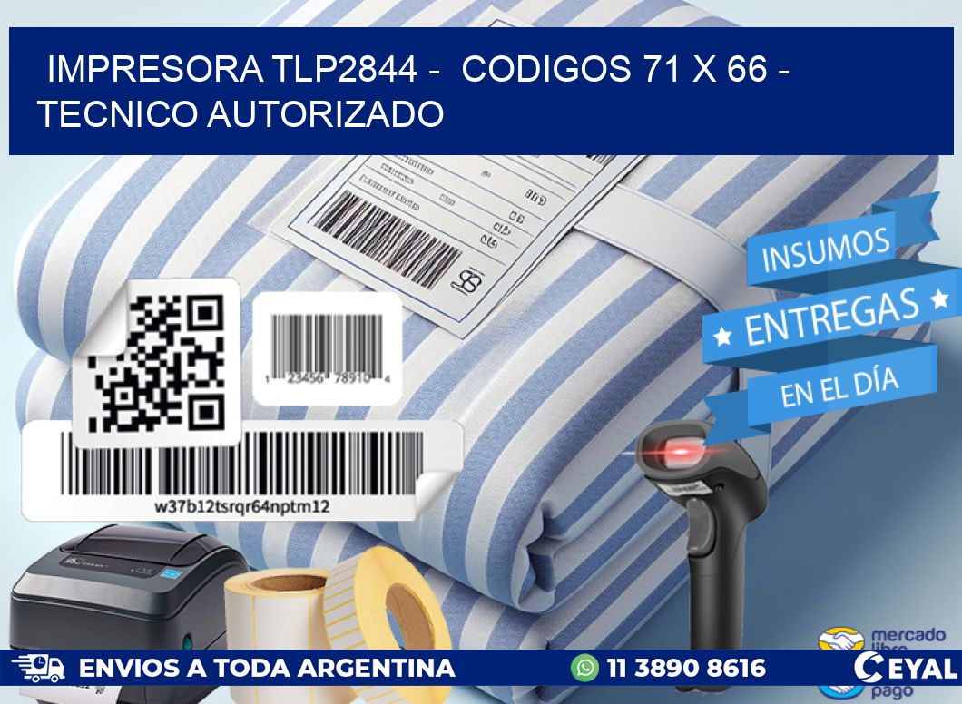 IMPRESORA TLP2844 -  CODIGOS 71 x 66 - TECNICO AUTORIZADO