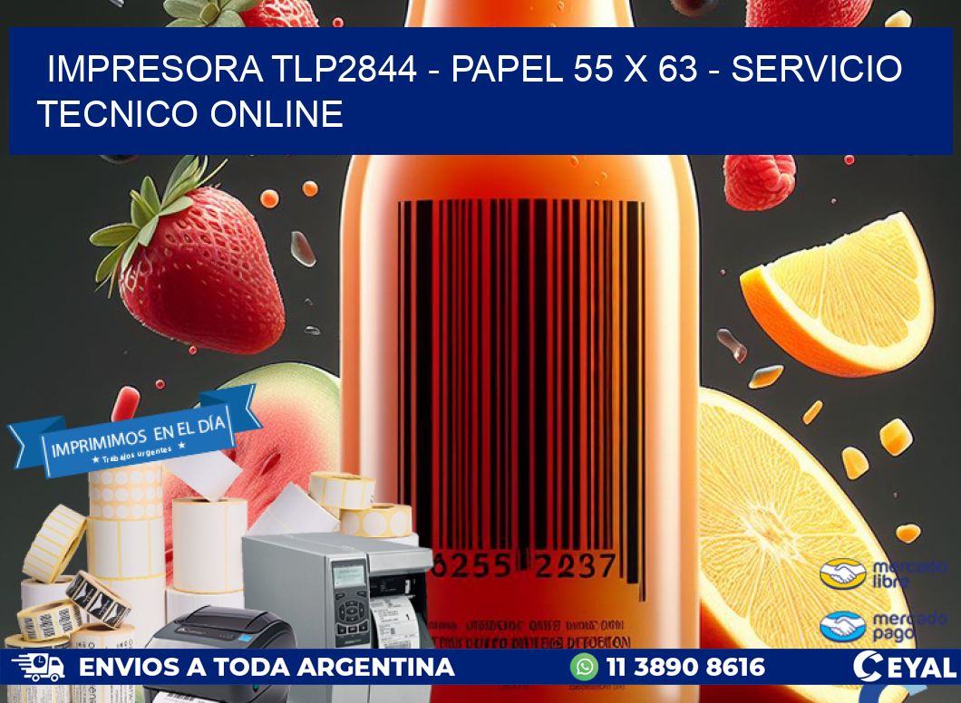 IMPRESORA TLP2844 - PAPEL 55 x 63 - SERVICIO TECNICO ONLINE