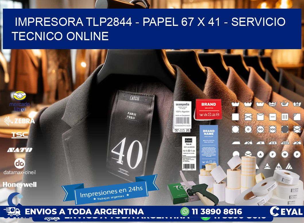 IMPRESORA TLP2844 - PAPEL 67 x 41 - SERVICIO TECNICO ONLINE