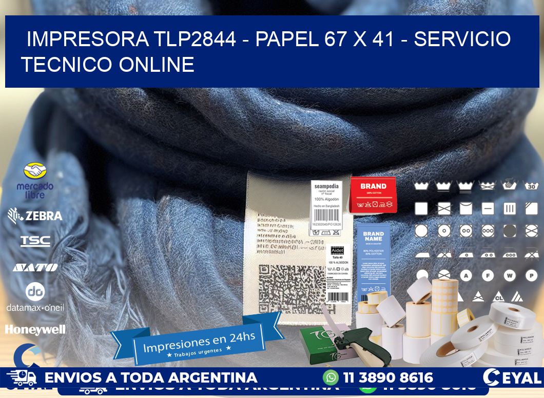 IMPRESORA TLP2844 - PAPEL 67 x 41 - SERVICIO TECNICO ONLINE