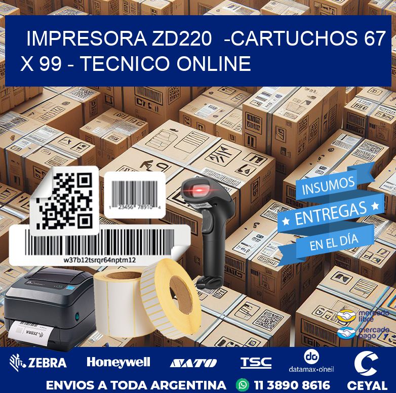 IMPRESORA ZD220  -CARTUCHOS 67 x 99 – TECNICO ONLINE