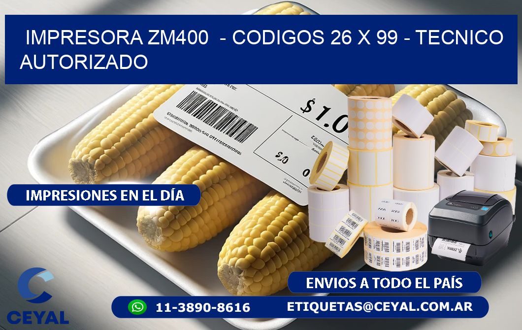 IMPRESORA ZM400  - CODIGOS 26 x 99 - TECNICO AUTORIZADO