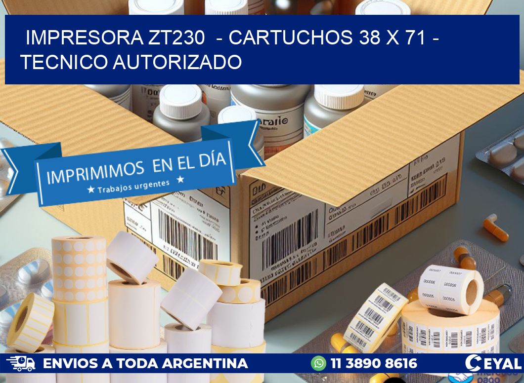 IMPRESORA ZT230 - CARTUCHOS 38 x 71 - TECNICO AUTORIZADO