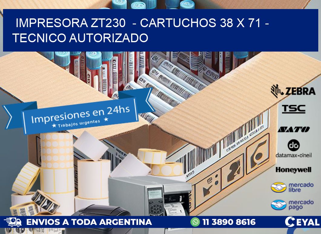 IMPRESORA ZT230 - CARTUCHOS 38 x 71 - TECNICO AUTORIZADO