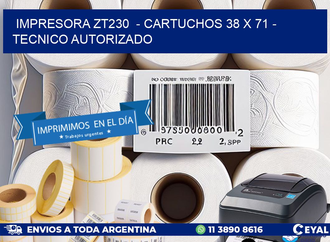 IMPRESORA ZT230  – CARTUCHOS 38 x 71 – TECNICO AUTORIZADO