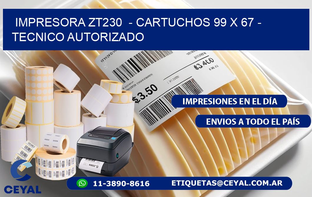 IMPRESORA ZT230 - CARTUCHOS 99 x 67 - TECNICO AUTORIZADO