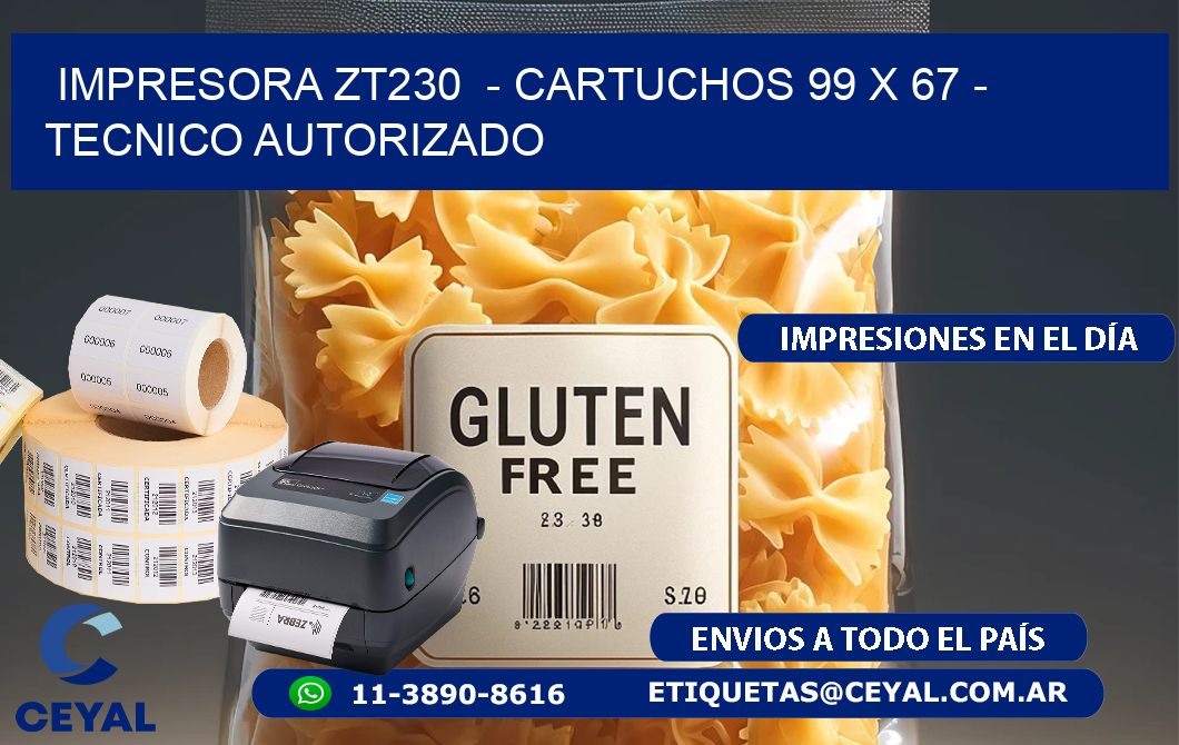 IMPRESORA ZT230 - CARTUCHOS 99 x 67 - TECNICO AUTORIZADO