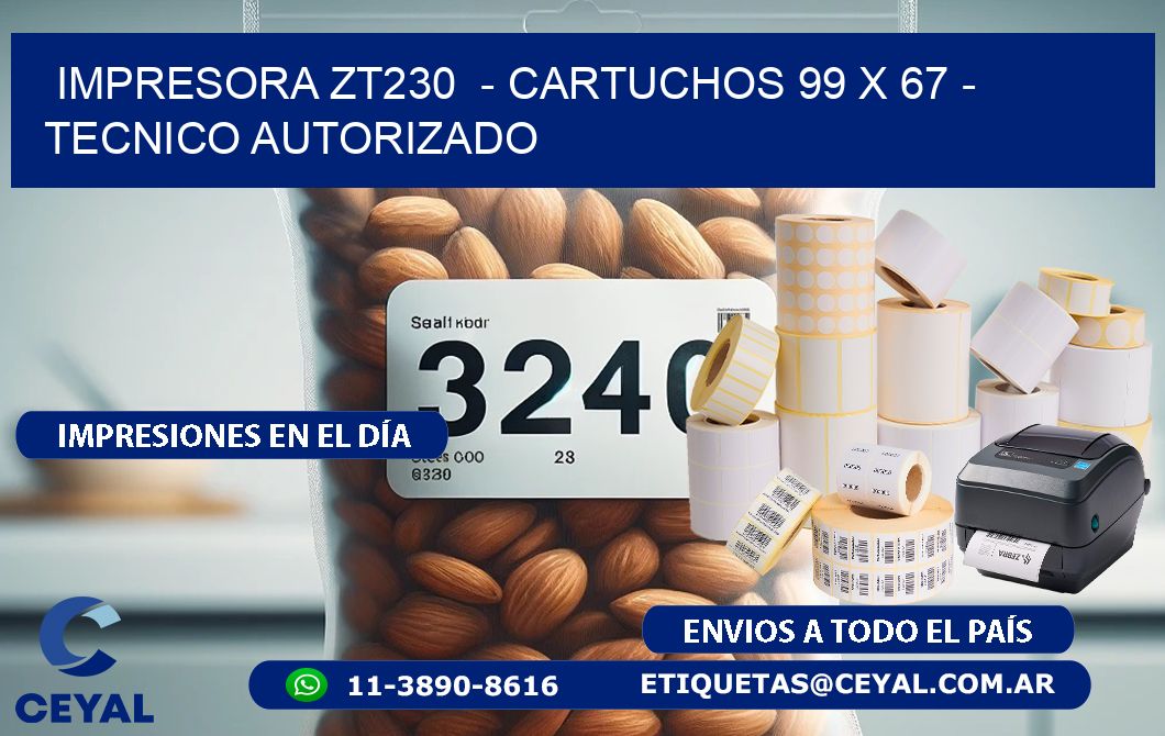 IMPRESORA ZT230 - CARTUCHOS 99 x 67 - TECNICO AUTORIZADO