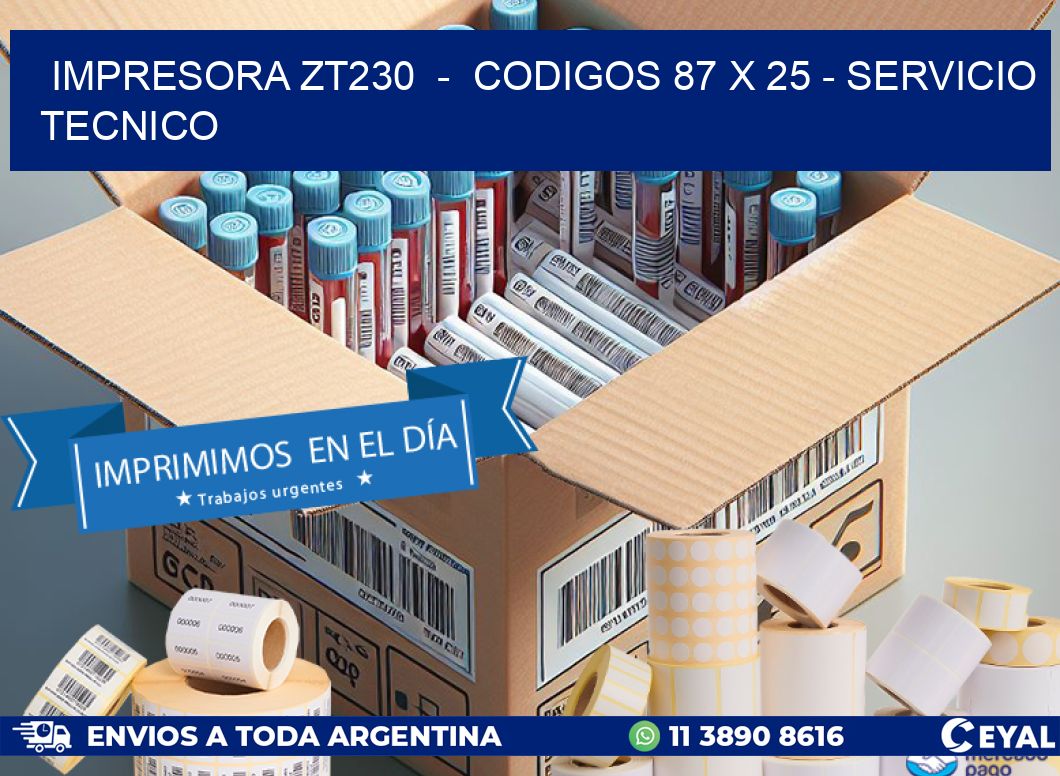 IMPRESORA ZT230  -  CODIGOS 87 x 25 - SERVICIO TECNICO