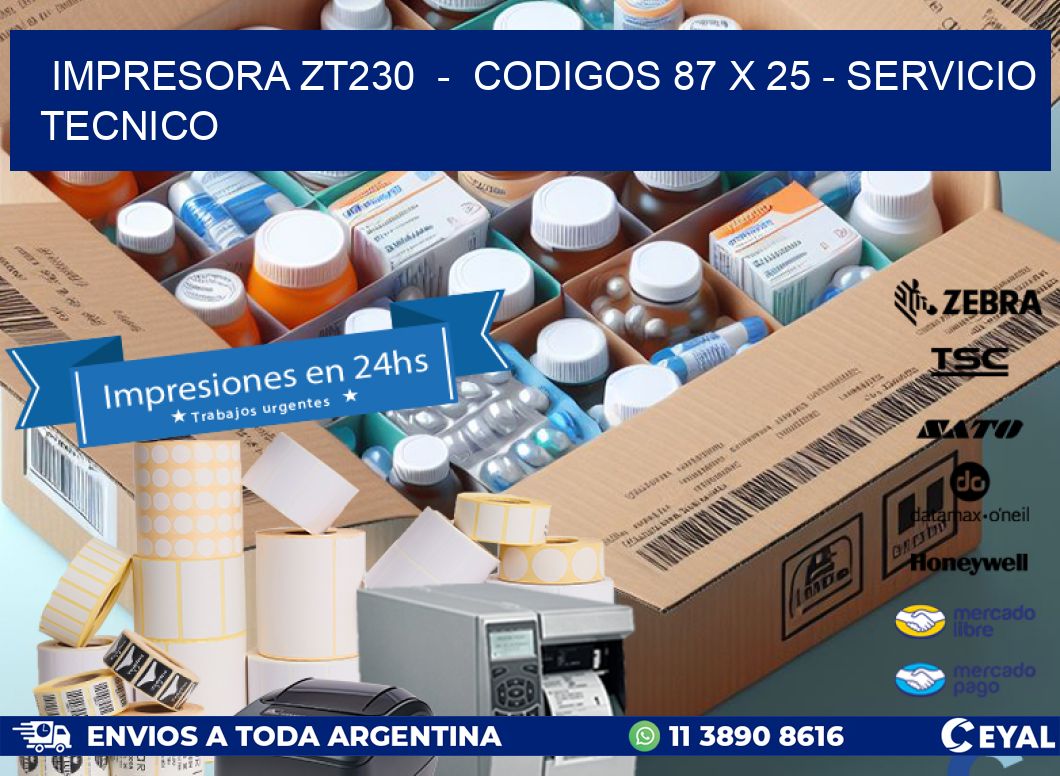 IMPRESORA ZT230  -  CODIGOS 87 x 25 - SERVICIO TECNICO