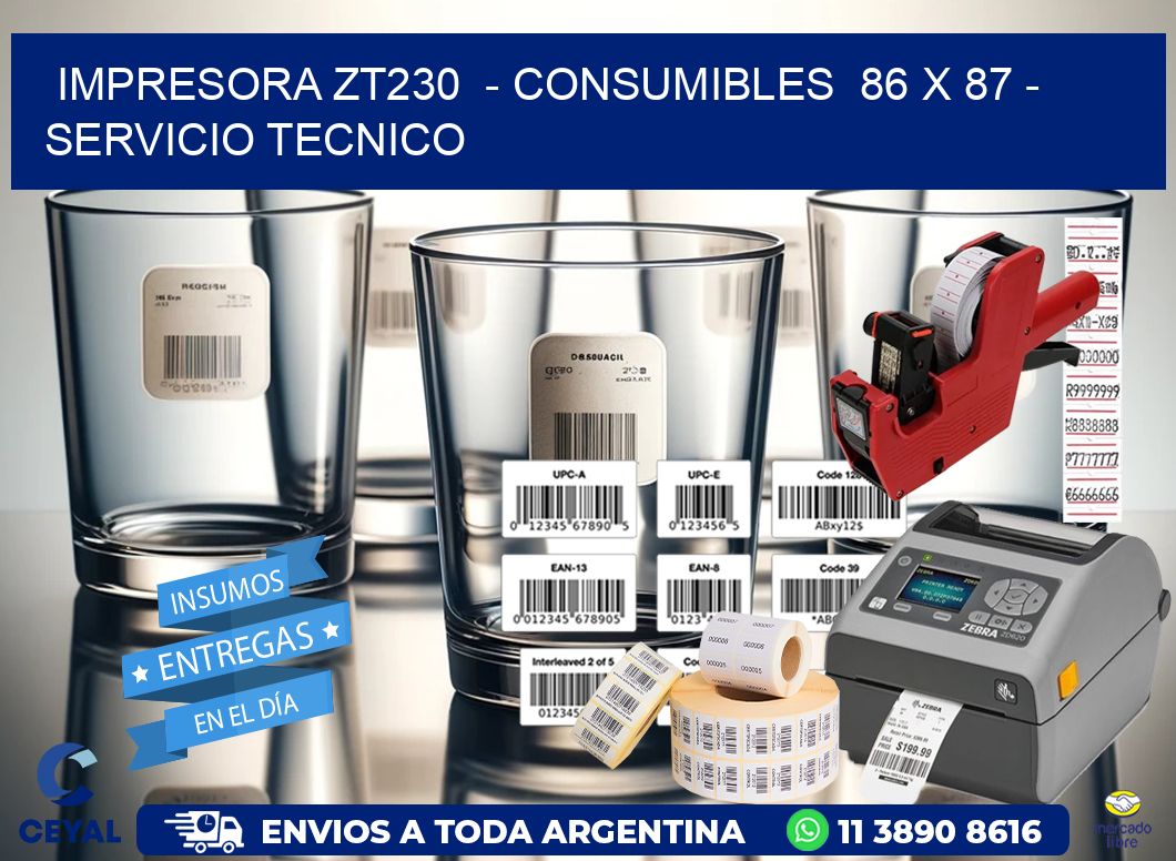 IMPRESORA ZT230  - CONSUMIBLES  86 x 87 - SERVICIO TECNICO