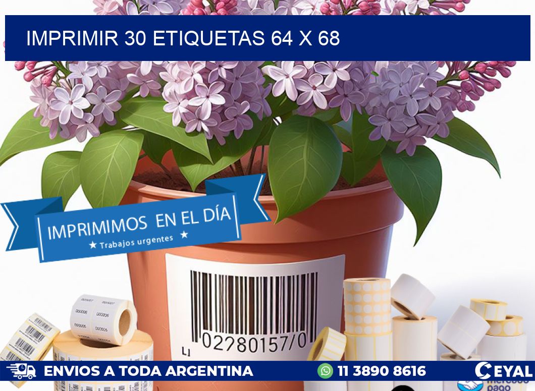 IMPRIMIR 30 ETIQUETAS 64 x 68