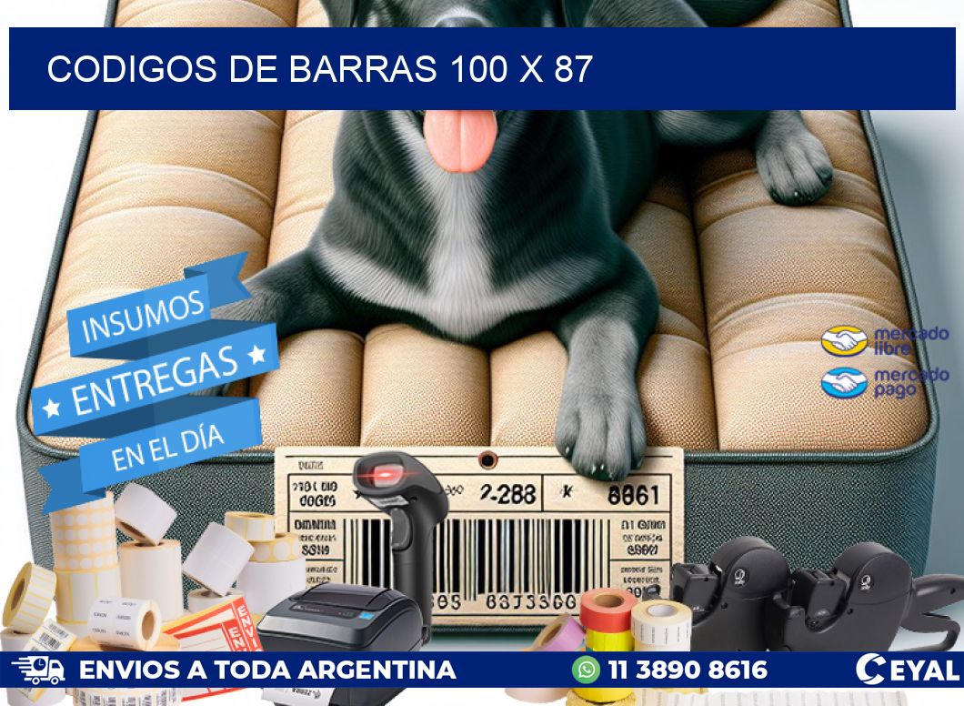 codigos de barras 100 x 87