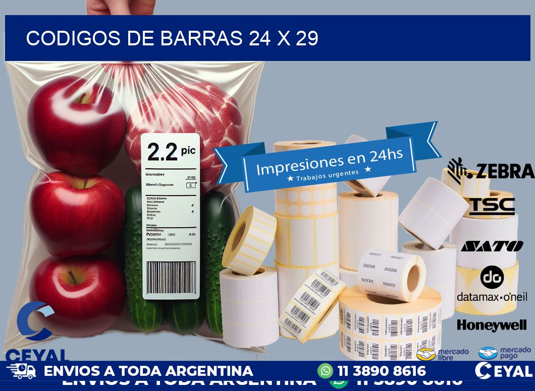 codigos de barras 24 x 29