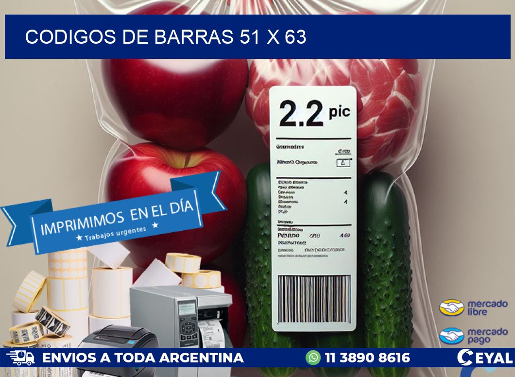 codigos de barras 51 x 63