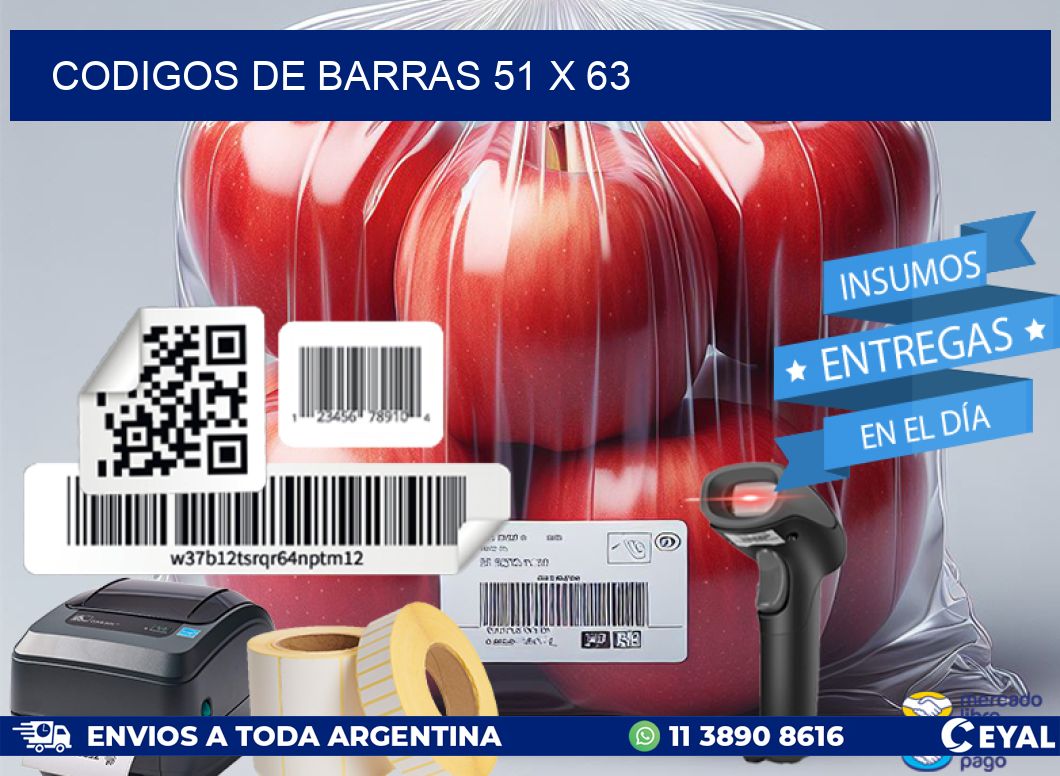 codigos de barras 51 x 63